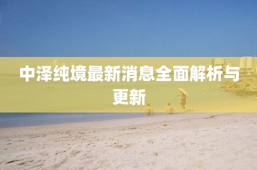 中澤純境最新消息全面解析與更新