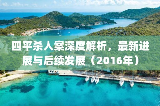四平殺人案深度解析，最新進(jìn)展與后續(xù)發(fā)展（2016年）