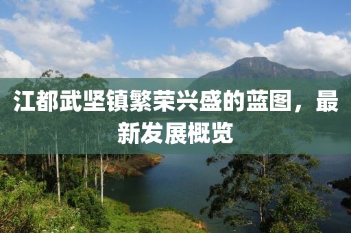 江都武堅鎮(zhèn)繁榮興盛的藍圖，最新發(fā)展概覽
