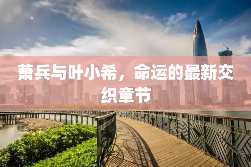 蕭兵與葉小希，命運(yùn)的最新交織章節(jié)