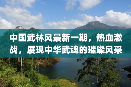 中國(guó)武林風(fēng)最新一期，熱血激戰(zhàn)，展現(xiàn)中華武魂的璀璨風(fēng)采