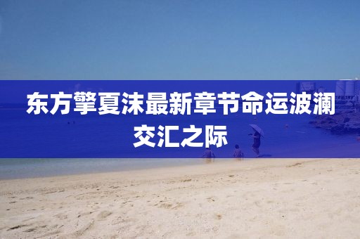 東方擎夏沫最新章節(jié)命運(yùn)波瀾交匯之際