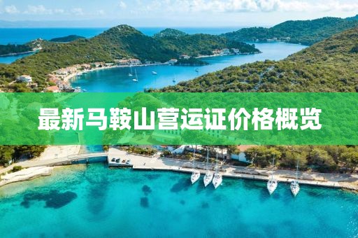最新馬鞍山營(yíng)運(yùn)證價(jià)格概覽