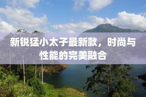 新銳猛小太子最新款，時(shí)尚與性能的完美融合