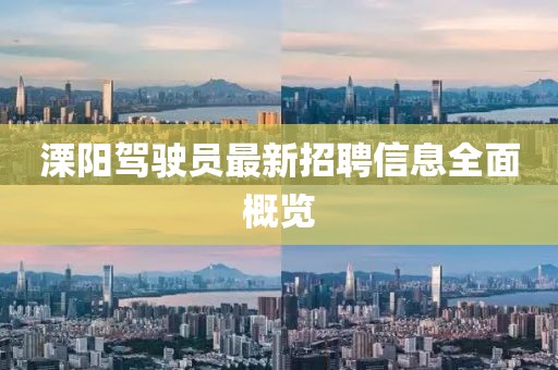 溧陽(yáng)駕駛員最新招聘信息全面概覽