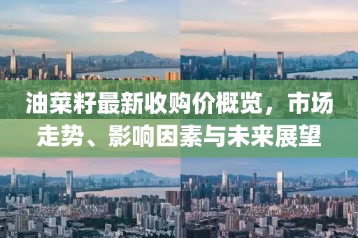 油菜籽最新收購(gòu)價(jià)概覽，市場(chǎng)走勢(shì)、影響因素與未來(lái)展望