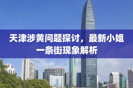 天津涉黃問(wèn)題探討，最新小姐一條街現(xiàn)象解析