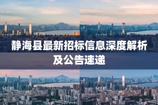 靜海縣最新招標(biāo)信息深度解析及公告速遞