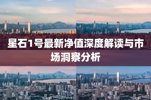 星石1號(hào)最新凈值深度解讀與市場(chǎng)洞察分析