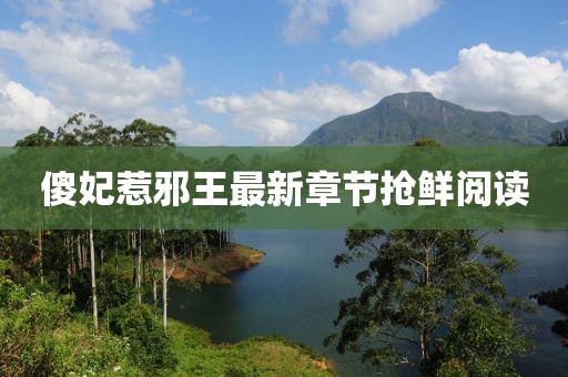 傻妃惹邪王最新章節(jié)搶鮮閱讀