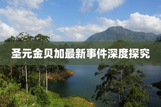 圣元金貝加最新事件深度探究