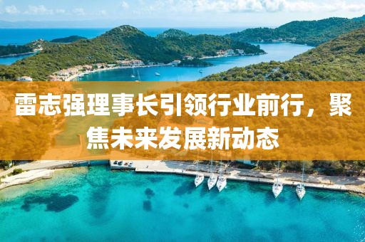 雷志強理事長引領(lǐng)行業(yè)前行，聚焦未來發(fā)展新動態(tài)