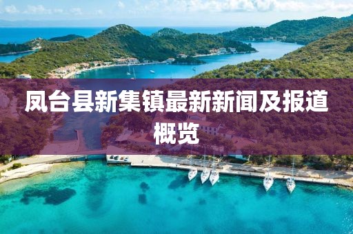 鳳臺縣新集鎮(zhèn)最新新聞及報道概覽
