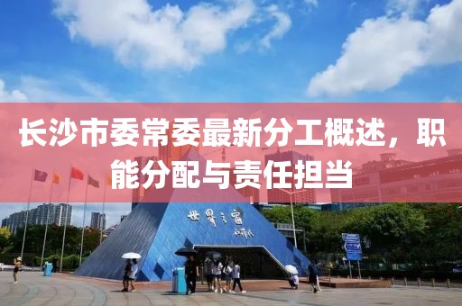 長沙市委常委最新分工概述，職能分配與責(zé)任擔(dān)當(dāng)