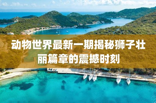動(dòng)物世界最新一期揭秘獅子壯麗篇章的震撼時(shí)刻