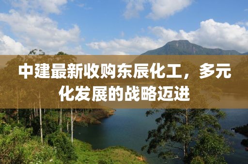 中建最新收購東辰化工，多元化發(fā)展的戰(zhàn)略邁進