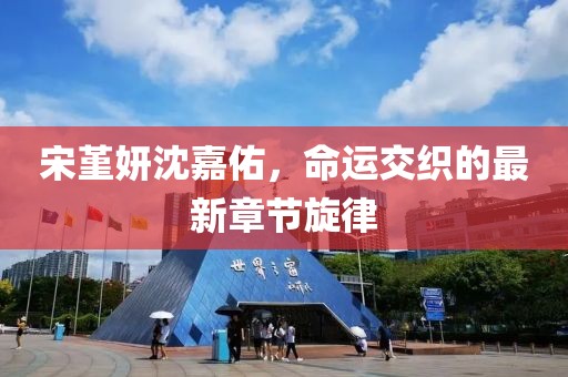宋堇妍沈嘉佑，命運(yùn)交織的最新章節(jié)旋律