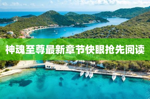 神魂至尊最新章節(jié)快眼搶先閱讀