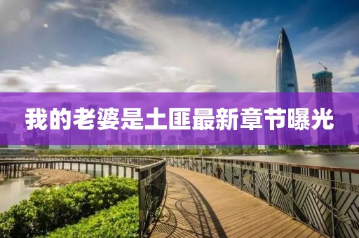 我的老婆是土匪最新章節(jié)曝光