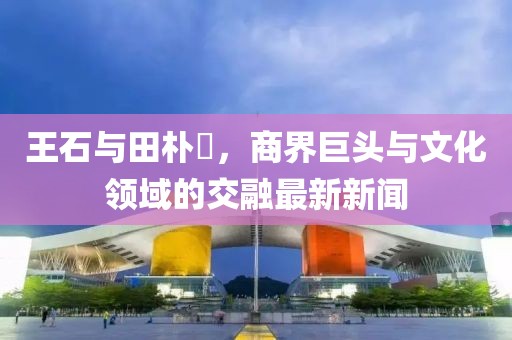 王石與田樸琤，商界巨頭與文化領(lǐng)域的交融最新新聞