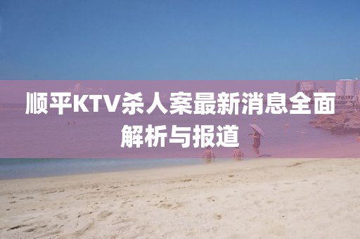 順平KTV殺人案最新消息全面解析與報道