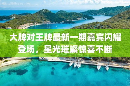 大牌對王牌最新一期嘉賓閃耀登場，星光璀璨驚喜不斷