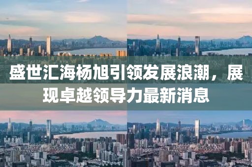 盛世匯海楊旭引領(lǐng)發(fā)展浪潮，展現(xiàn)卓越領(lǐng)導力最新消息