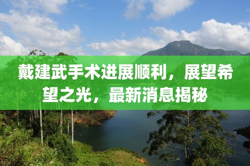 戴建武手術(shù)進展順利，展望希望之光，最新消息揭秘
