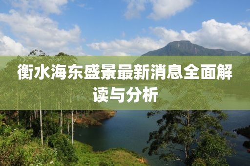 衡水海東盛景最新消息全面解讀與分析