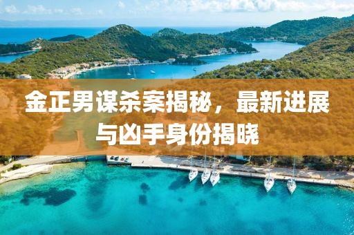 金正男謀殺案揭秘，最新進(jìn)展與兇手身份揭曉