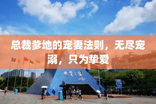 總裁爹地的寵妻法則，無盡寵溺，只為摯愛
