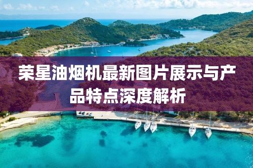 榮星油煙機最新圖片展示與產品特點深度解析