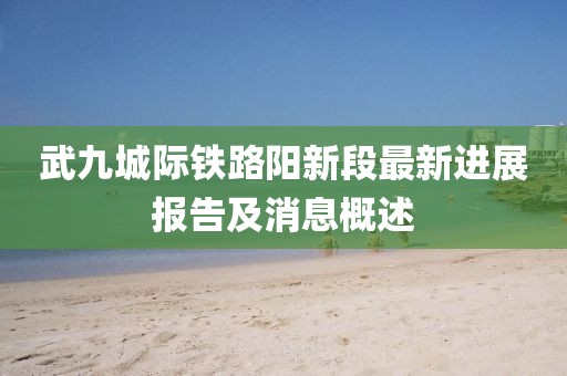 武九城際鐵路陽新段最新進展報告及消息概述