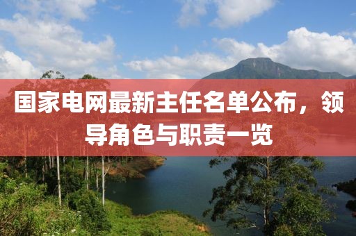 國(guó)家電網(wǎng)最新主任名單公布，領(lǐng)導(dǎo)角色與職責(zé)一覽