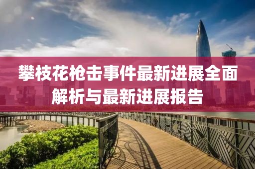 攀枝花槍擊事件最新進展全面解析與最新進展報告