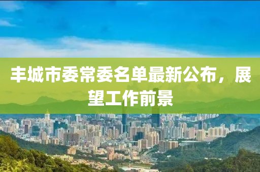 豐城市委常委名單最新公布，展望工作前景