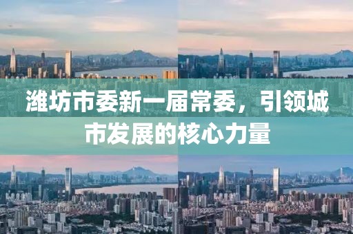 濰坊市委新一屆常委，引領(lǐng)城市發(fā)展的核心力量