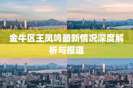 金牛區(qū)王鳳鳴最新情況深度解析與報(bào)道