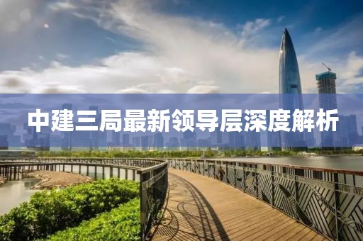 中建三局最新領(lǐng)導(dǎo)層深度解析