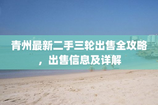 青州最新二手三輪出售全攻略，出售信息及詳解