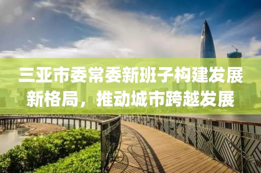 三亞市委常委新班子構(gòu)建發(fā)展新格局，推動城市跨越發(fā)展