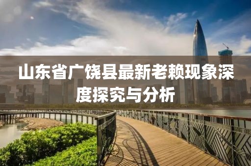 山東省廣饒縣最新老賴現(xiàn)象深度探究與分析