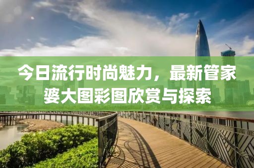 今日流行時(shí)尚魅力，最新管家婆大圖彩圖欣賞與探索
