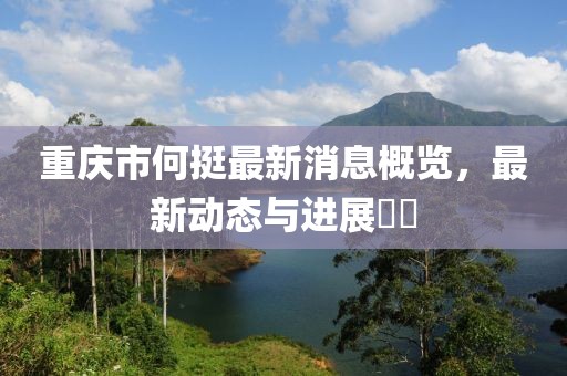 重慶市何挺最新消息概覽，最新動態(tài)與進(jìn)展??