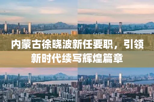 內(nèi)蒙古徐曉波新任要職，引領(lǐng)新時(shí)代續(xù)寫輝煌篇章