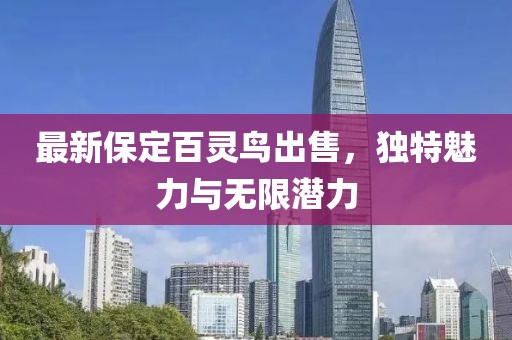 最新保定百靈鳥出售，獨(dú)特魅力與無限潛力