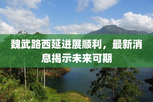 魏武路西延進展順利，最新消息揭示未來可期