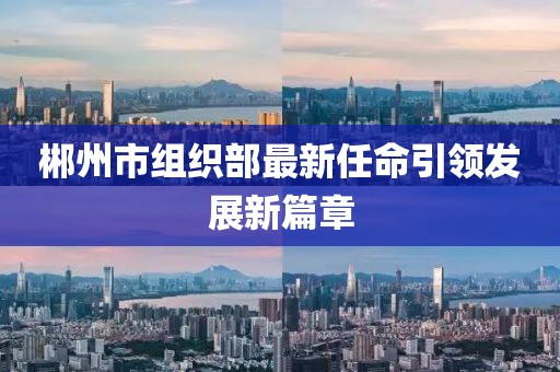 郴州市組織部最新任命引領發(fā)展新篇章