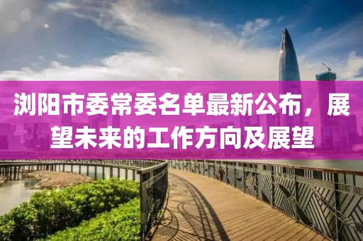 瀏陽市委常委名單最新公布，展望未來的工作方向及展望