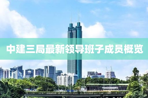 中建三局最新領導班子成員概覽